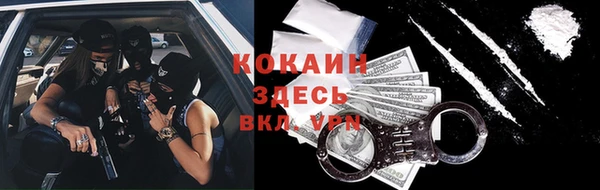 твердый Лагань