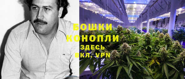 твердый Лагань