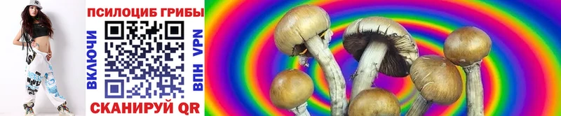 Галлюциногенные грибы Psilocybine cubensis  Мелеуз 